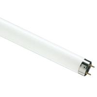 купить Лампа люм G13 Т8 18Вт 6500К 1080лм Philips в Самаре Лампа люм G13 Т8 18Вт 6500К 1080лм Philips