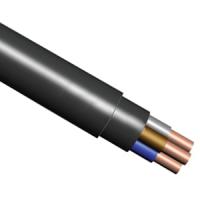купить ВВГнг(A)-LS 4*10 ок(N)-0,66кВ медь круглый кабель ГОСТ Псковкабель SKT Group в Самаре ВВГнг(A)-LS 4*10 ок(N)-0,66кВ медь круглый кабель ГОСТ Псковкабель SKT Group