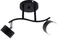 Светильник настенно-потолочный спот Rivoli Vanessa 7074-702 2хGX53 15 Вт поворотный