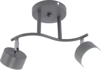 Светильник настенно-потолочный спот Rivoli Vivien 7077-702 2хGX53 15 Вт поворотный