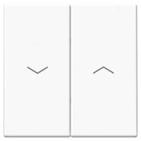 W:\img\_tkacheva\03_07_2024_ken\374621.jpg W:\img\_tkacheva\03_07_2024_ken\374621.jpg