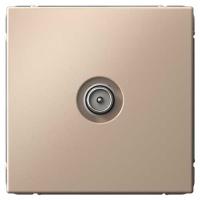 W:\img\_tkacheva\15_07_2024_ken\374879.jpg W:\img\_tkacheva\15_07_2024_ken\374879.jpg