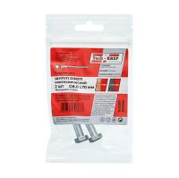 купить Шуруп сантехнический 8*70мм цинк DIN 571 2шт в Самаре Шуруп сантехнический 8*70мм цинк DIN 571 2шт