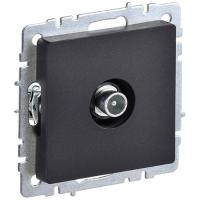 W:\img\_tkacheva\10_04_2024_ken\373925.jpg W:\img\_tkacheva\10_04_2024_ken\373925.jpg