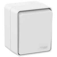 W:\img\_tkacheva\30_05_2022_ken\370982.jpg W:\img\_tkacheva\30_05_2022_ken\370982.jpg