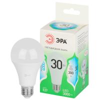 купить Лампа светодиодная 220В Е27 30Вт 4000К 3000лм стандарт A65 матовая ЭРА Green Line в Самаре Лампа светодиодная 220В Е27 30Вт 4000К 3000лм стандарт A65 матовая ЭРА Green Line