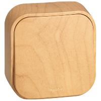 W:\img\_tkacheva\09_02_2024_ken\419417.jpg W:\img\_tkacheva\09_02_2024_ken\419417.jpg