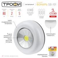 купить Фонарь пушлайт 1СВД 1Вт 80лм 3*ААА Трофи  в Самаре Фонарь пушлайт 1СВД 1Вт 80лм 3*ААА Трофи