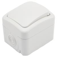 W:\img\_tkacheva\17_10_2023_ken\970647.jpg W:\img\_tkacheva\17_10_2023_ken\970647.jpg