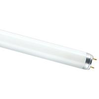 купить Лампа люм G13 Т8 36Вт 4000К 2850лм Osram  в Самаре Лампа люм G13 Т8 36Вт 4000К 2850лм Osram