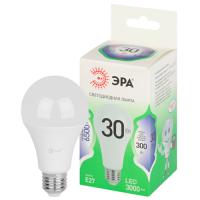 купить Лампа светодиодная 220В Е27 30Вт 6500К 3000лм стандарт A65 матовая ЭРА Green Line в Самаре Лампа светодиодная 220В Е27 30Вт 6500К 3000лм стандарт A65 матовая ЭРА Green Line