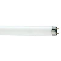 купить Лампа люм G13 Т8 30Вт 6200К 1825лм Philips в Самаре Лампа люм G13 Т8 30Вт 6200К 1825лм Philips