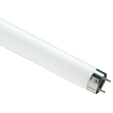 купить Лампа люм G13 Т8 58Вт 6500К 5000лм Osram  в Самаре Лампа люм G13 Т8 58Вт 6500К 5000лм Osram