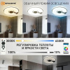 купить Светильник настенно-потолочный свд 60Вт RGB круг белый/хром  пульт ДУ Estares музыкальная, API в Самаре Светильник настенно-потолочный свд 60Вт RGB круг белый/хром  пульт ДУ Estares музыкальная, API