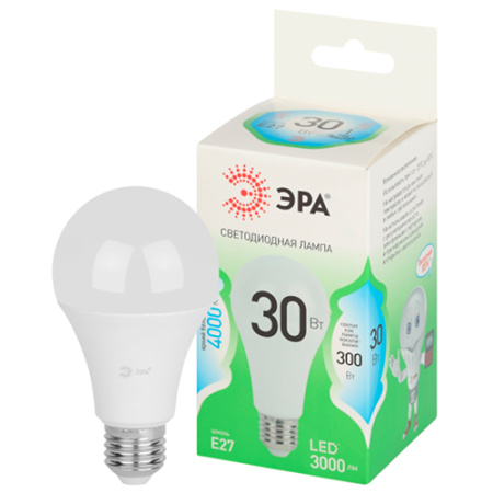купить Лампа светодиодная 220В Е27 30Вт 4000К 3000лм стандарт A65 матовая ЭРА Green Line в Самаре Лампа светодиодная 220В Е27 30Вт 4000К 3000лм стандарт A65 матовая ЭРА Green Line