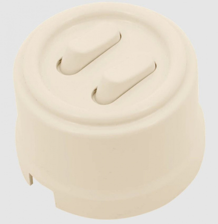 купить Бирони ваниль выключатель 2кл открытая 10А IP20  клавишный  Jantera в Самаре Бирони ваниль выключатель 2кл открытая 10А IP20  клавишный  Jantera