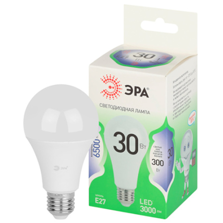 купить Лампа светодиодная 220В Е27 30Вт 6500К 3000лм стандарт A65 матовая ЭРА Green Line в Самаре Лампа светодиодная 220В Е27 30Вт 6500К 3000лм стандарт A65 матовая ЭРА Green Line