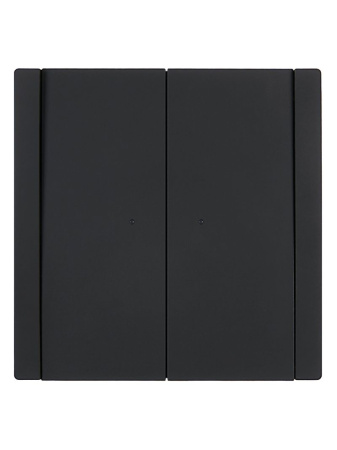 купить Фортепиано черный переключатель 2кл с подсветкой скрытая 10А IP20  в Самаре Фортепиано черный переключатель 2кл с подсветкой скрытая 10А IP20